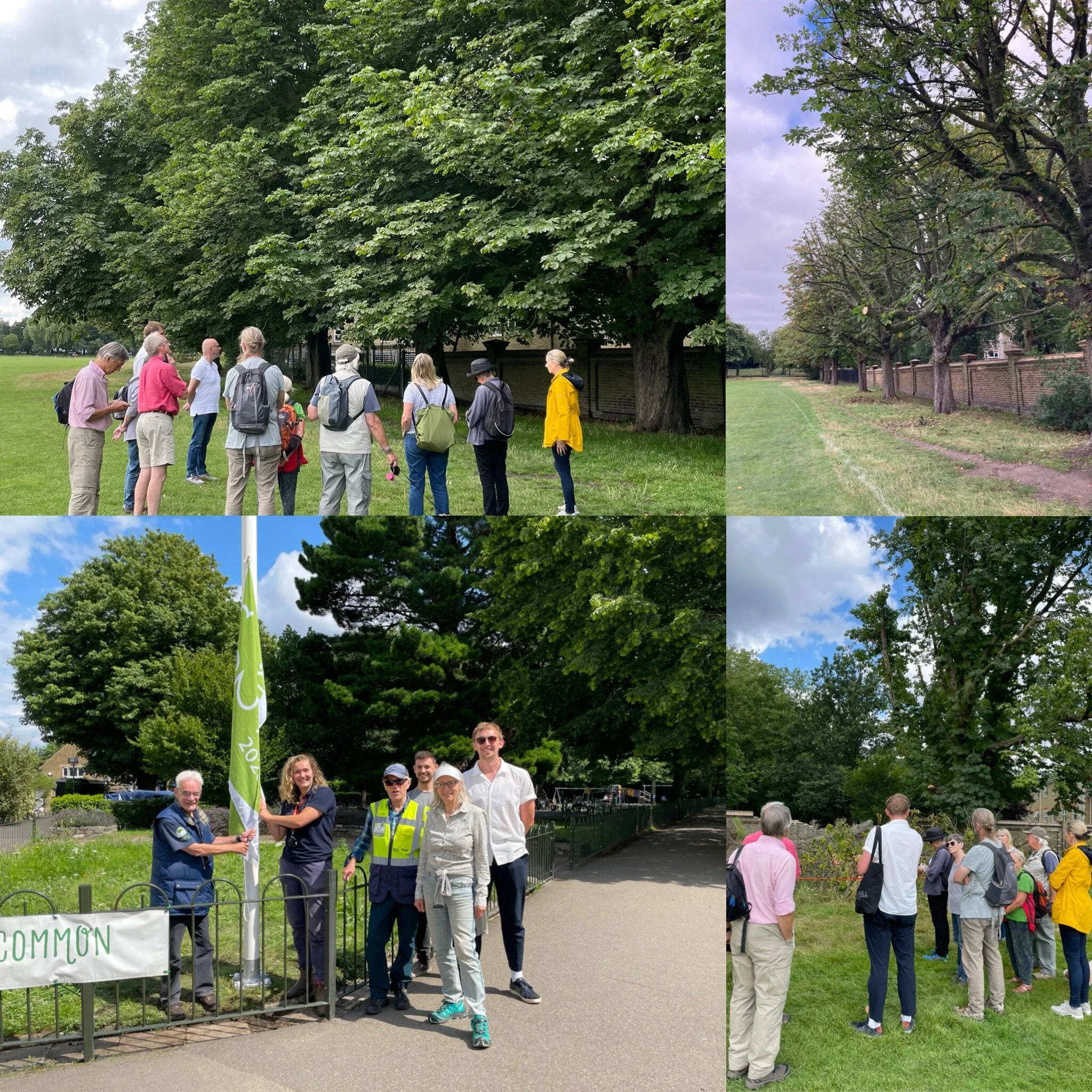 August round-up: Tree walks &amp; works