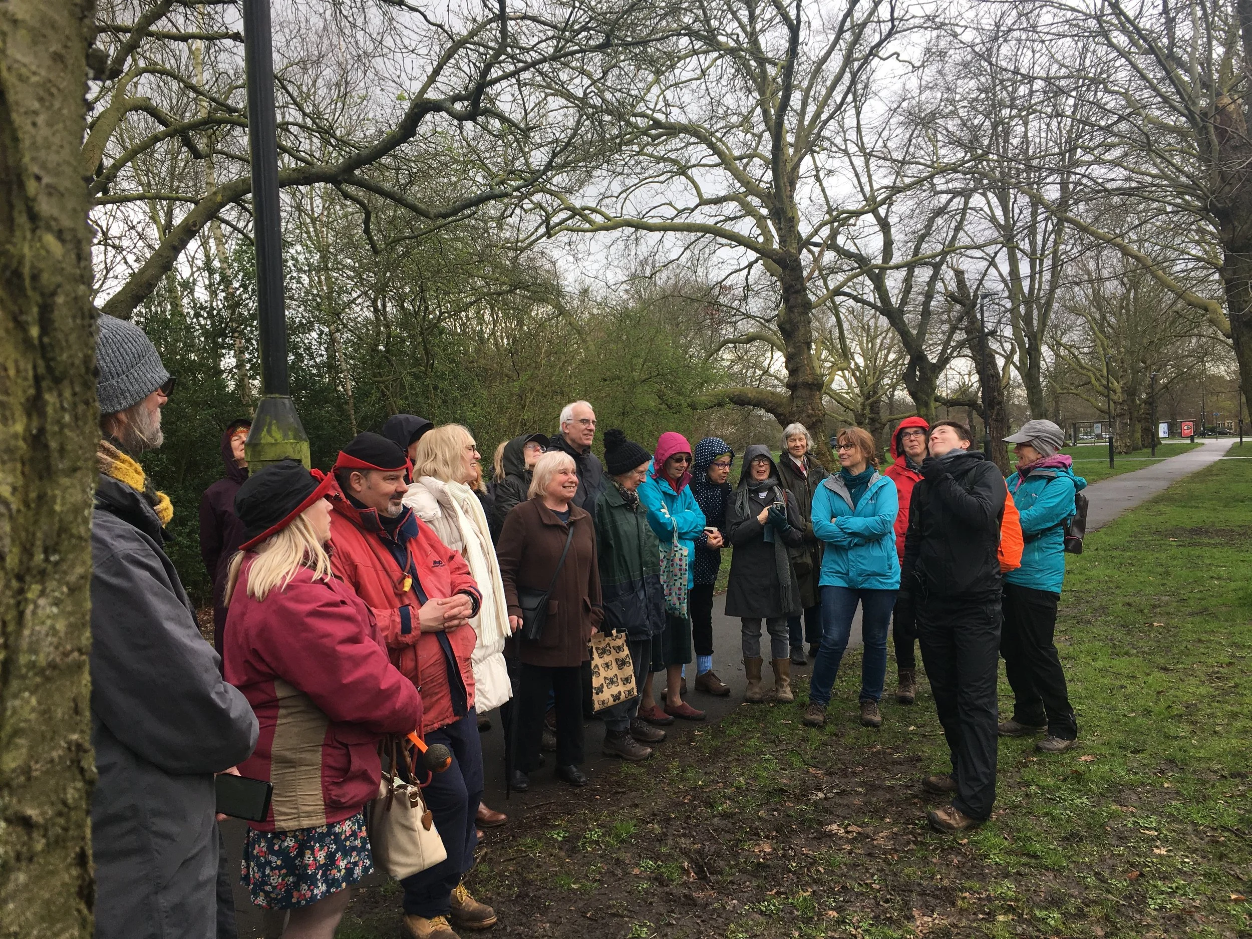 Tree Walk - to mark National Tree Week