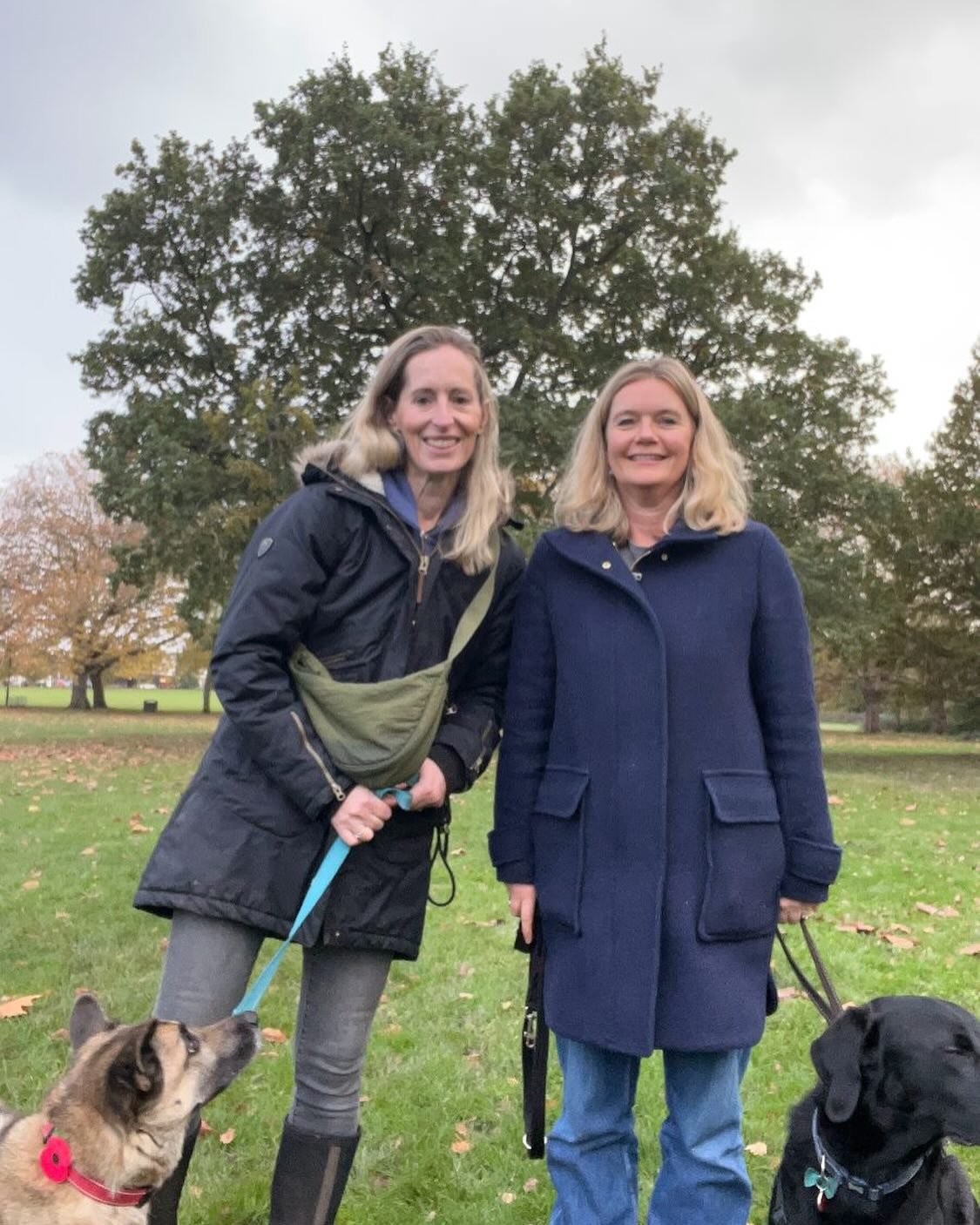 TREE WALK for DOG LOVERS
Saturday 27 April 10-11.15am 
 A tree walk with a difference: we&rsquo;d love your doggy companions to join us as we explore a few different areas of the Common. Led by Rebecca Byrne of Super Dog Trainers and Sarah Webley of 