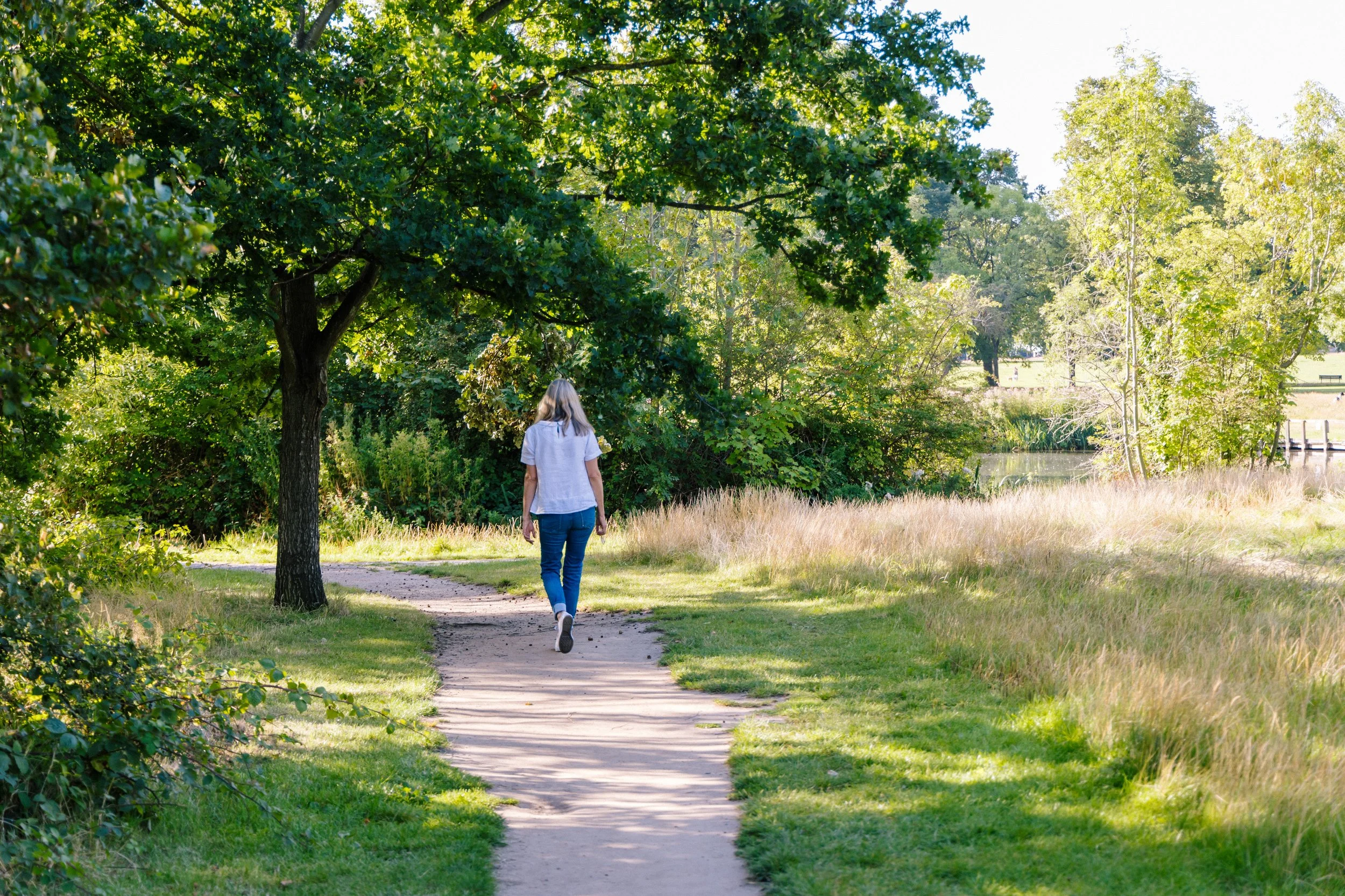 June round-up: Trees &amp; Mindfulness