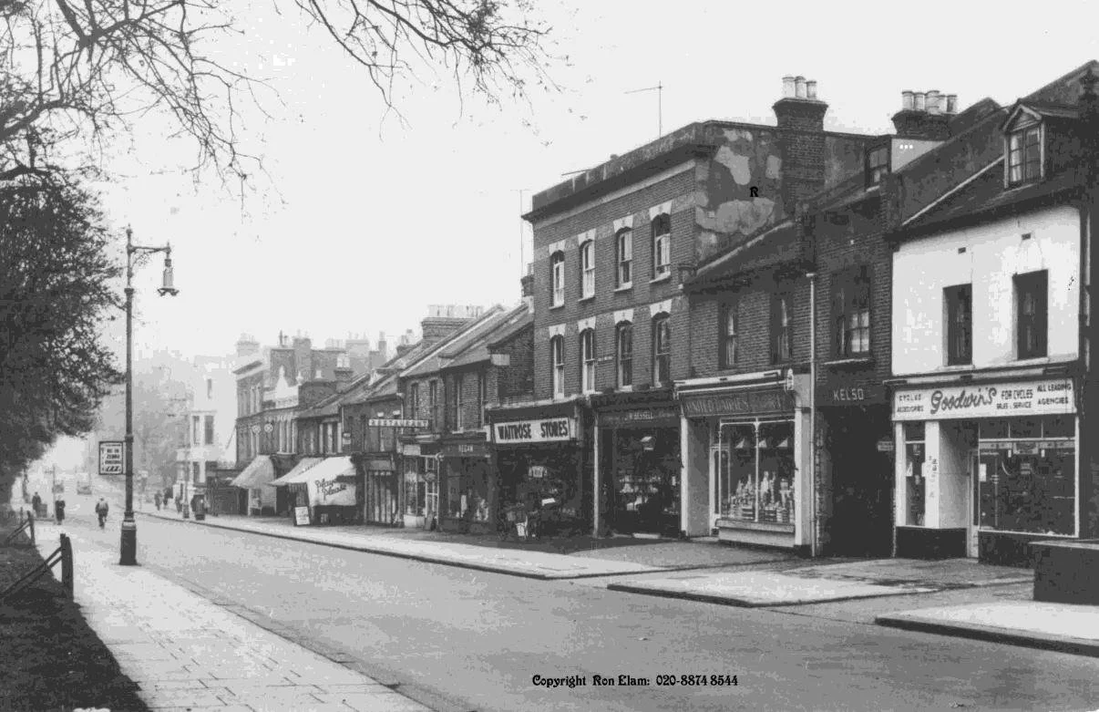 May round-up: AGM, biodiversity, Bellevue Road......