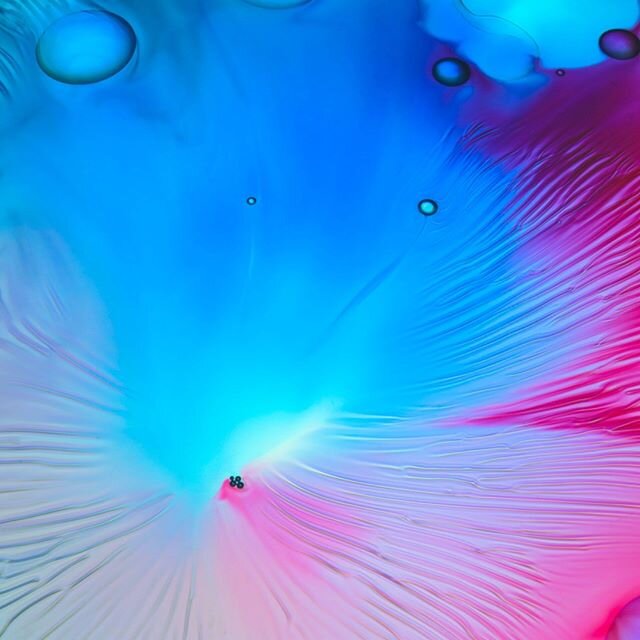 #lightmotiv #liquidshow #projections #projectionart #digitalart #surreal #abstractart #abstractphotography #fluidsoul #peace #fluidartwork #spiritual #waterforms #colorlove #trippyart #psychedelic #mindfulness #psychedeliclightshow #visualart #nosoft