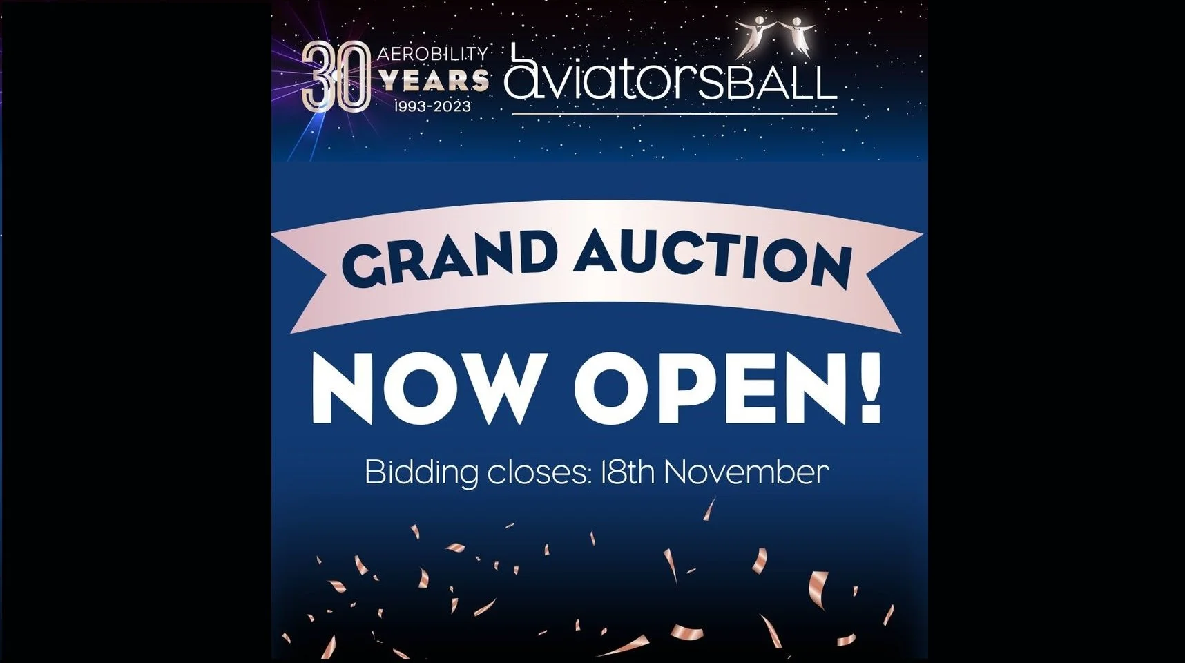 Aviators Ball Auction_tile2.jpg