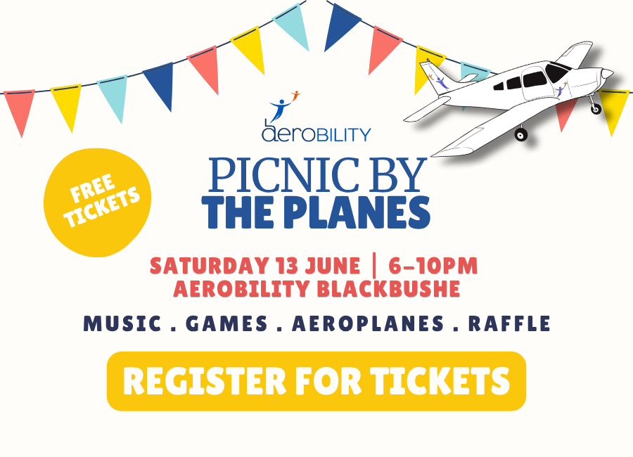 Picnic by the Planes
