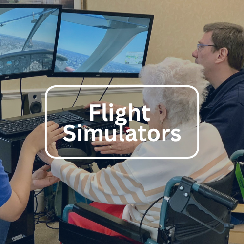 Flight Simulators