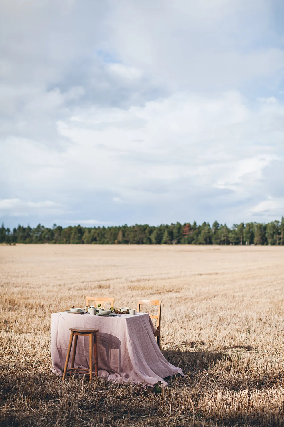 gotlandlo_3980.jpg