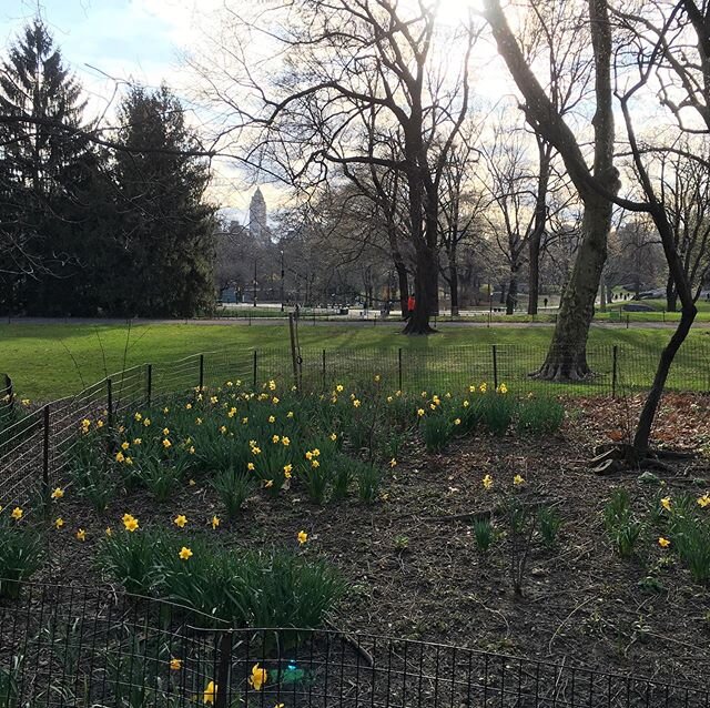 A beautiful and solo spring morning. But is everyone finally social distancing or is it just that it was 34 degrees outside?