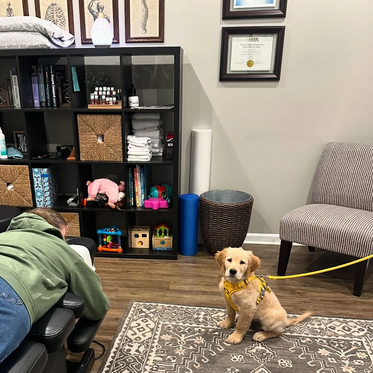 Timber was on duty today, keeping a close eye while his mom got adjusted! 🐶✨ Even pups know the importance of self-care for their humans. 💛