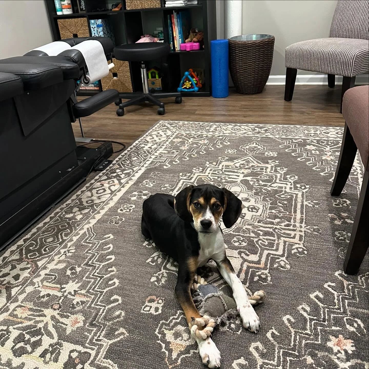 Big day for Gunner&mdash;his first day as our official office greeter! 🐾 He took his job very seriously, making sure everyone felt right at home. Stop by and say hi to the newest (and cutest) member of our team! #pupsofinstagram #officegreeter #pupp