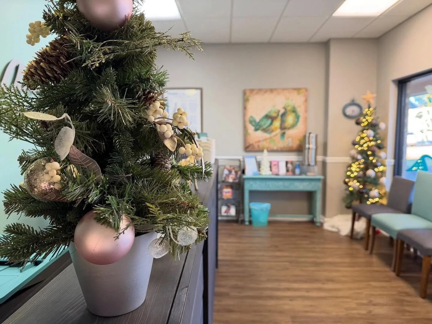 🎄 Christmas is coming! 🎄
We&rsquo;ll be closed 12/24&ndash;1/5, and appointments before Christmas are going fast.
Don&rsquo;t wait&mdash;get in before the New Year and start 2026 feeling your best ✨