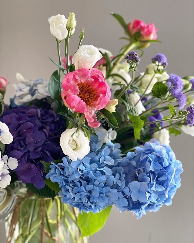 I&rsquo;m don&rsquo;t normally prefer hydrangeas, but when they are garden grown, they are something else: blossoming into deep, rich, truly beautiful colors. These for a lovely little shower this morning to welcome new life into this wild world and 