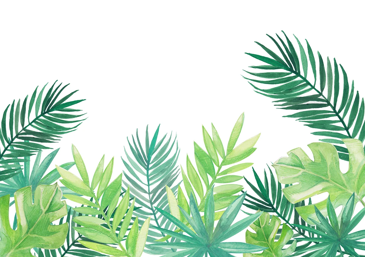 leafy background.jpg
