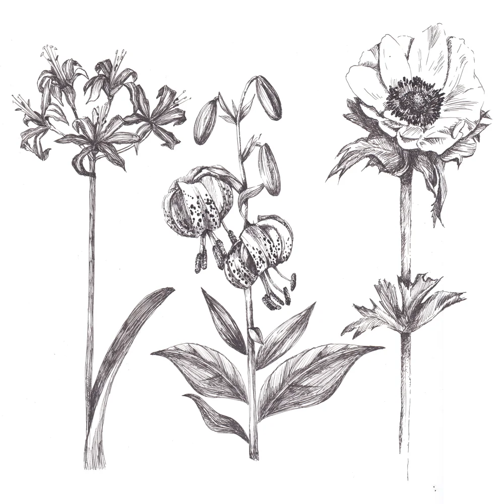 FlowerPatch1.jpg