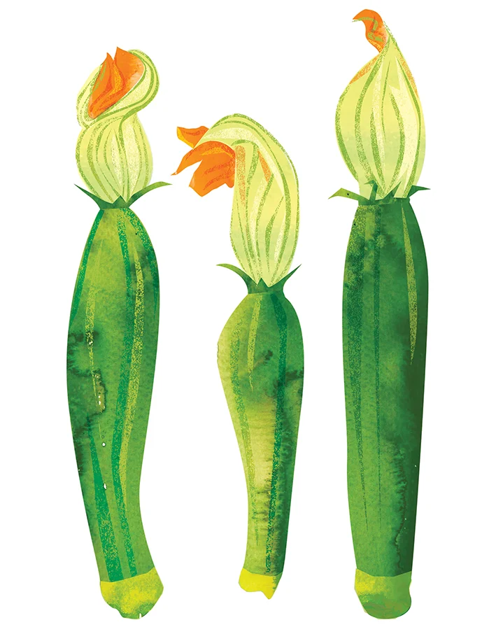 Journal_Courgette 2.jpg