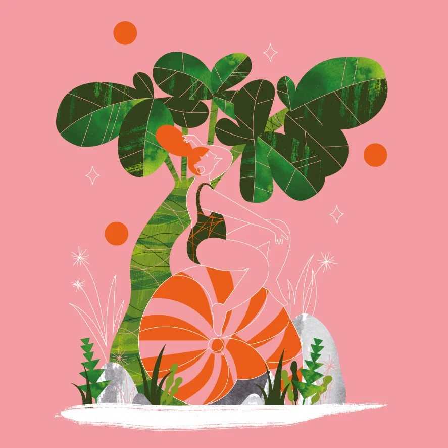 Nautilus - Personal Project