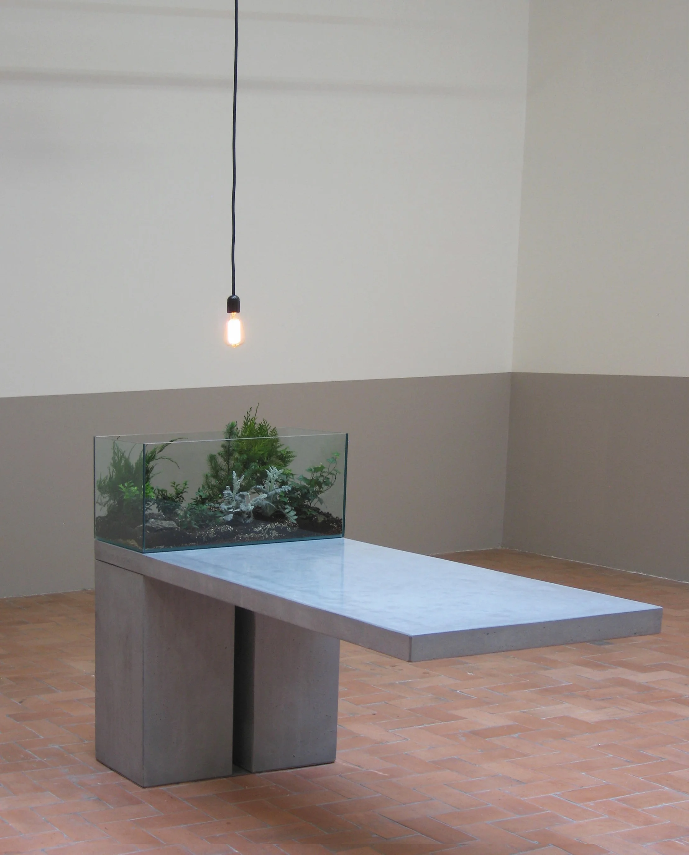 TABLE_TERRARIUM2013.jpg