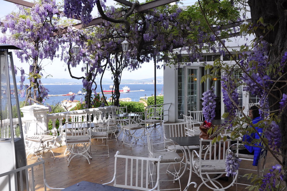 Wisteria Terrace, Rock Hotel, Gibraltar