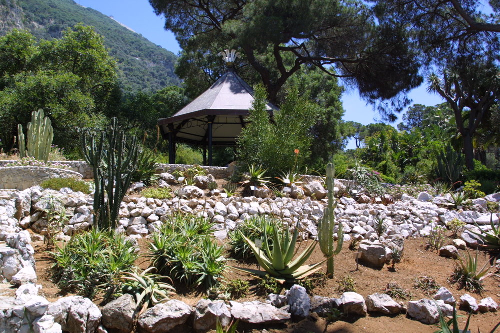 A BOTANICAL GARDENS