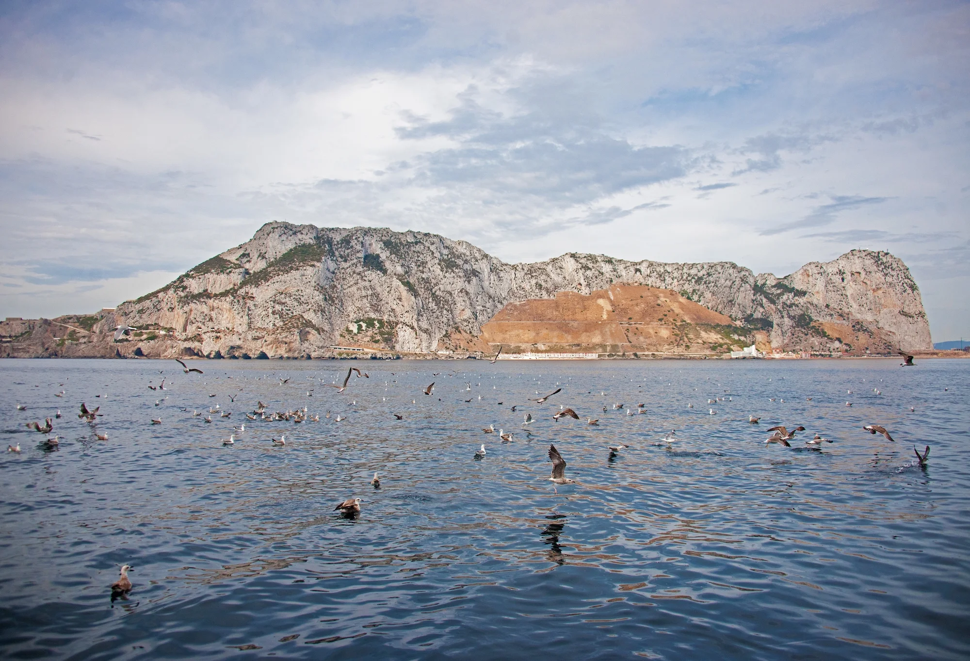 World's largest fossilised sand dune, by Geraldine Finlayson, Gibraltar Museum