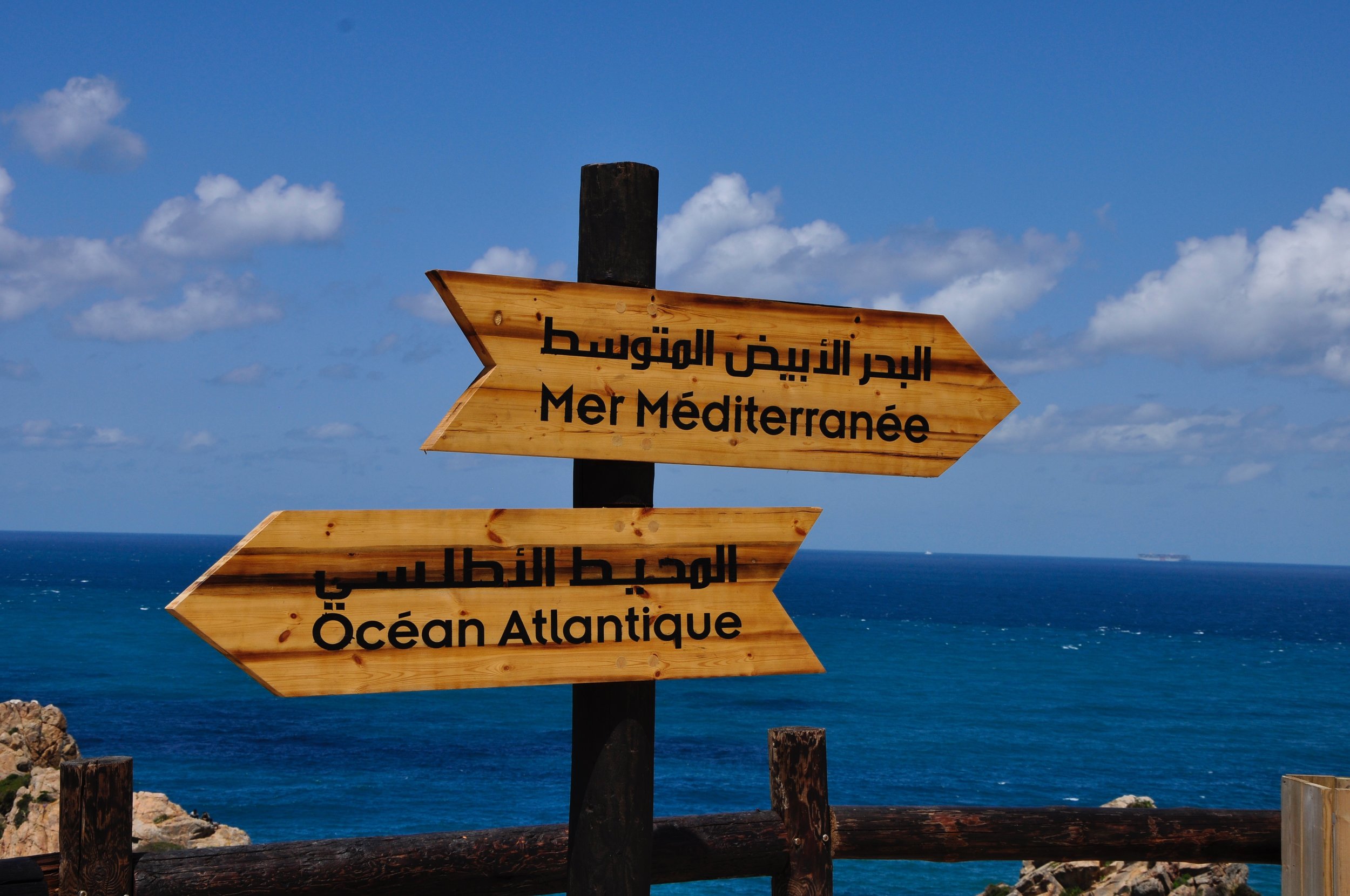 A journey to the old world and back via ...