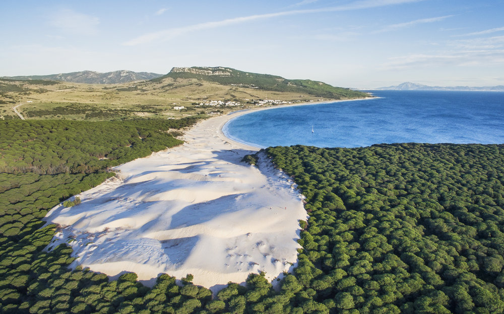 bolonia.beach.jpg