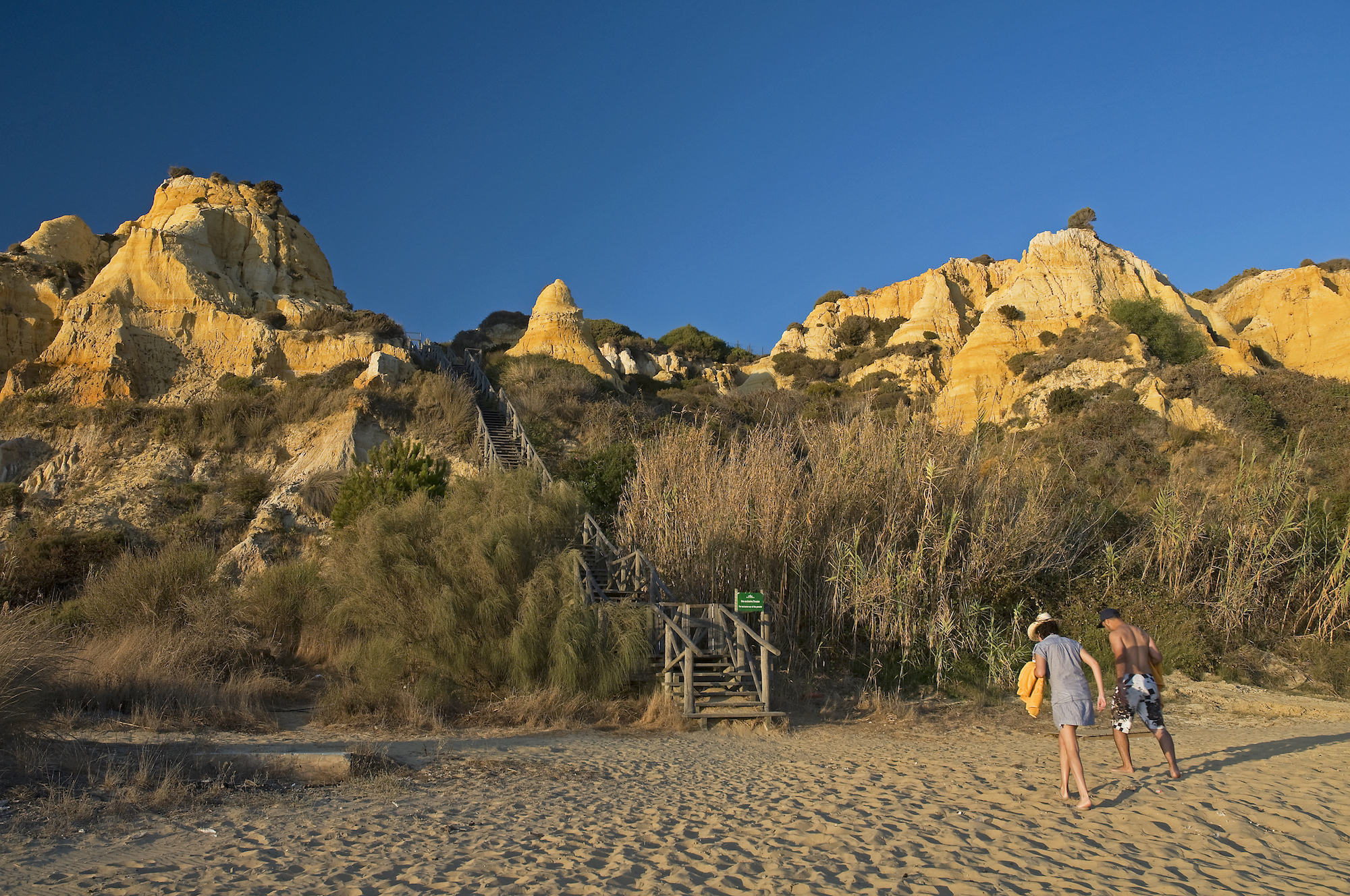 donana-dunes.jpg