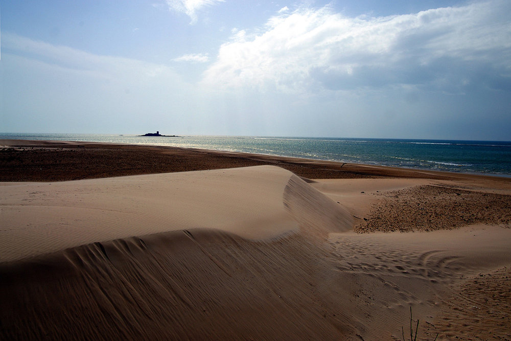 anchovy Playa del Castillo and Sancti Petri islet offshore © Cadiz Turismo (3).jpg