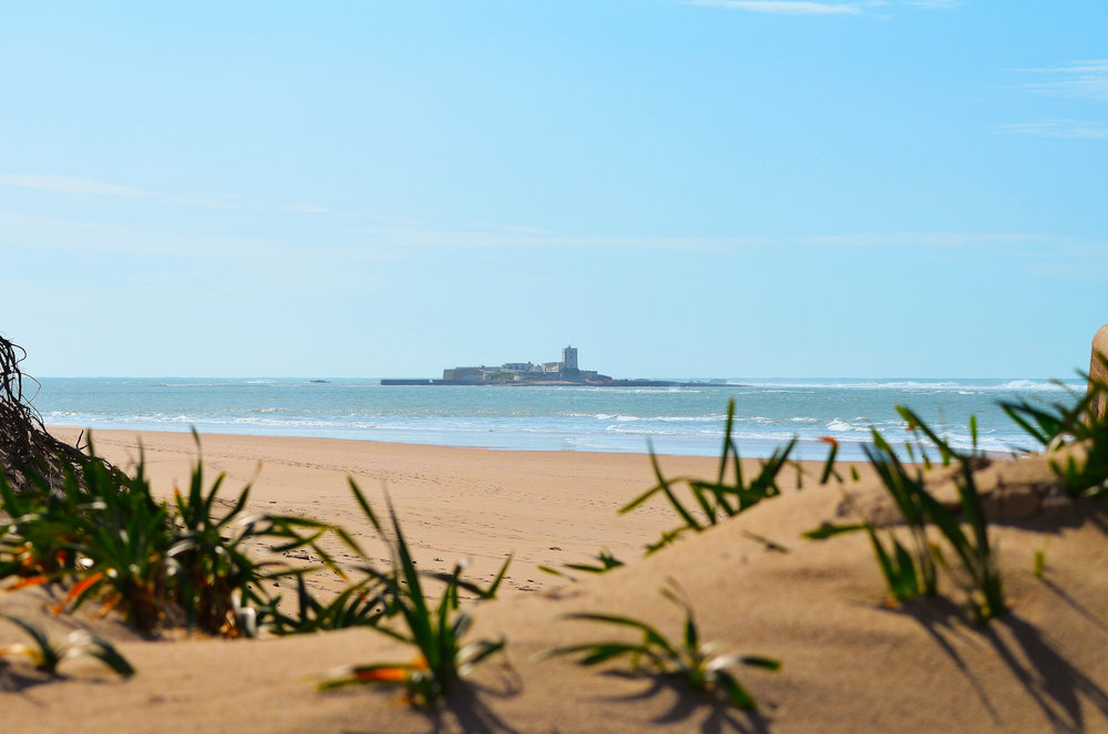 anchovy Playa del Castillo and Sancti Petri islet offshore (2) © Cadiz Turismo.jpg