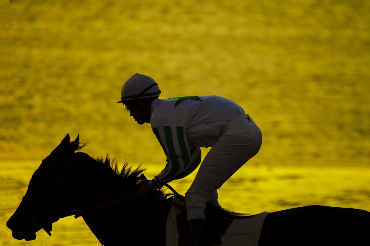 BEACH HORSE RACES