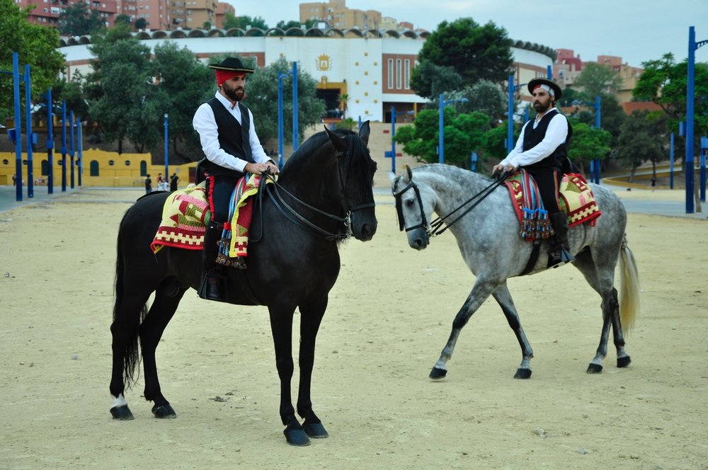 Bandits on horseback