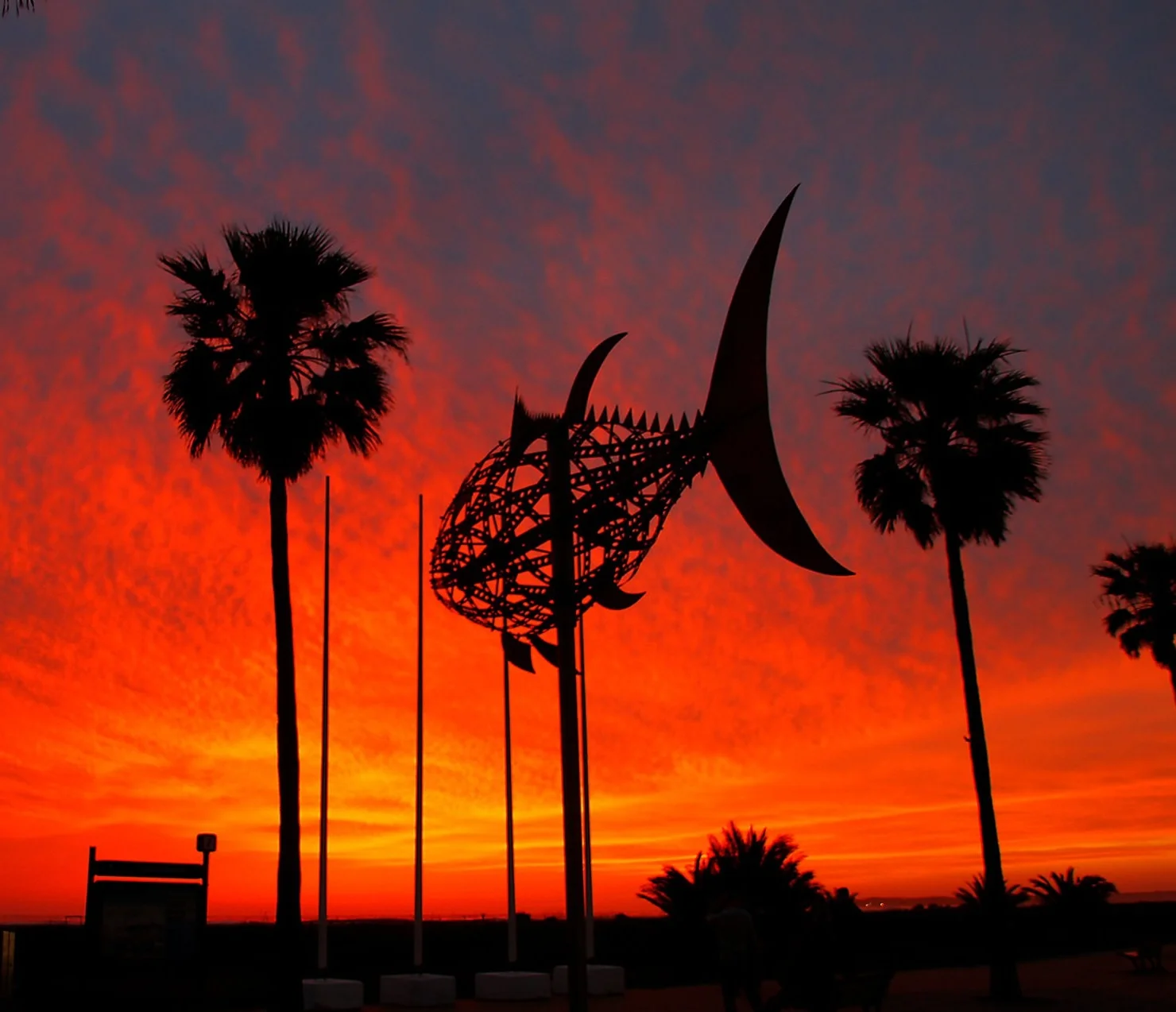 Cadiz Tuna Tapas Fiestas  