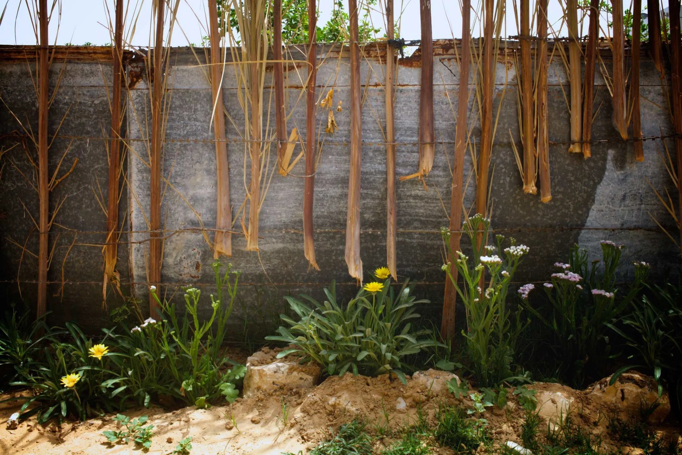  Hassan Abu Dagar, Khan Younis, Gaza: We are 500 metres from the border so sometimes they (the Israeli military) shoot rockets because they think weʼre tunnelling. I am afraid for my children - when they start crying I donʼt know what to do. We have 