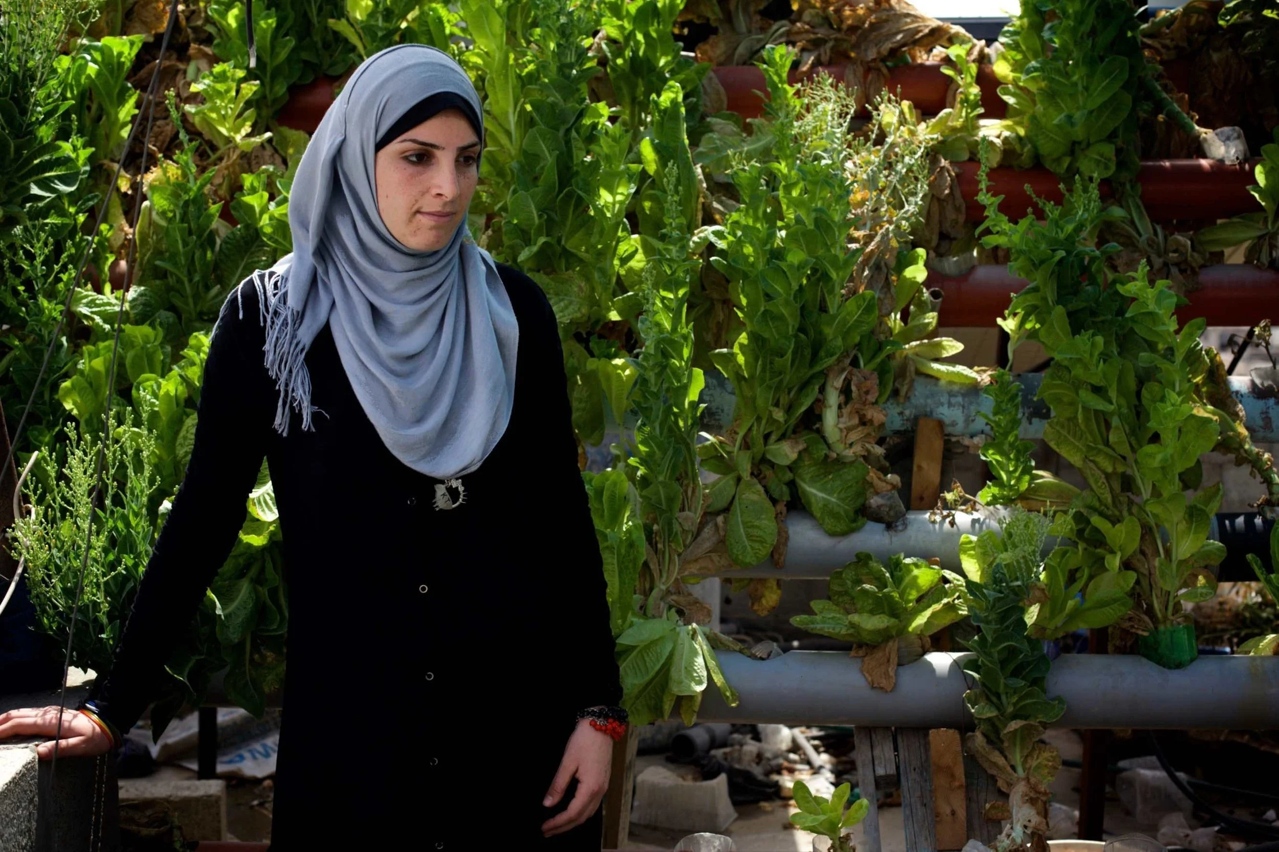  Isra in her father’s hydroponic rooftop garden, Gaza 2013: War for us is so normal now, we learn to accept it but living is hard. People all over the city with a high roof sometimes see this garden and try to copy it. We might not have land but at l