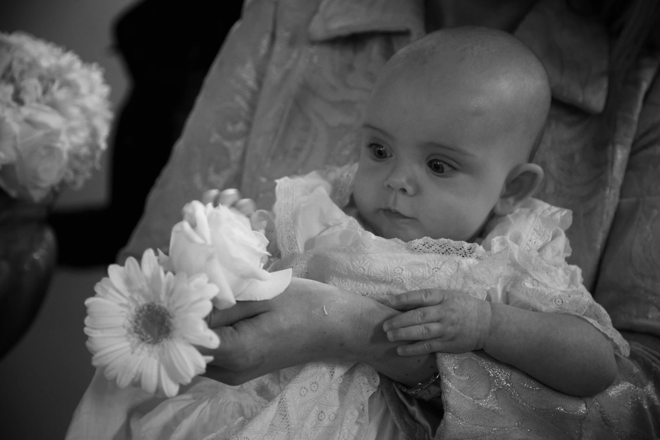 OQ7A2354 - Version 2.jpg