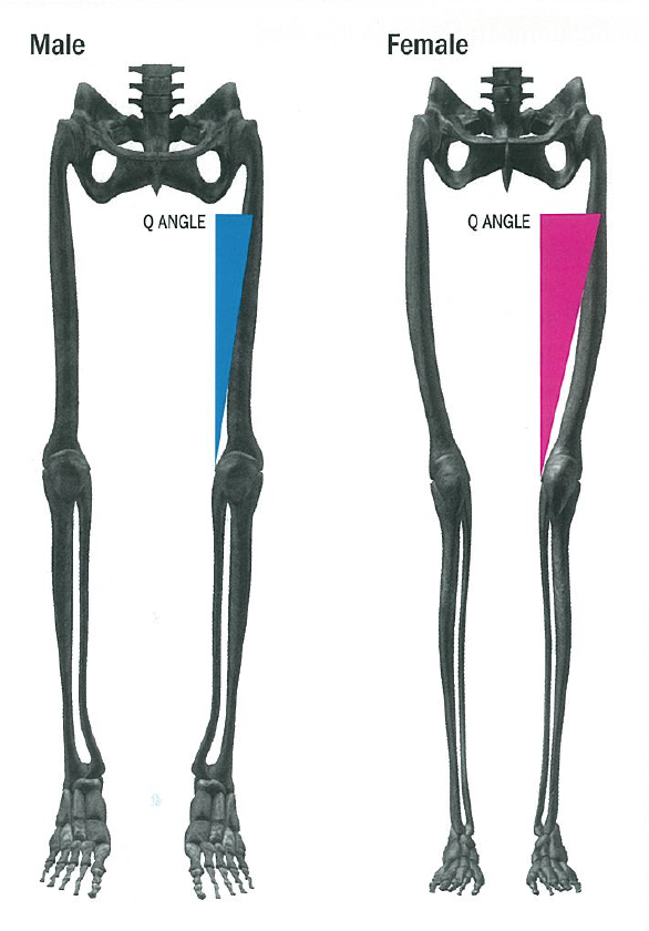 Patellar Tendinopathy