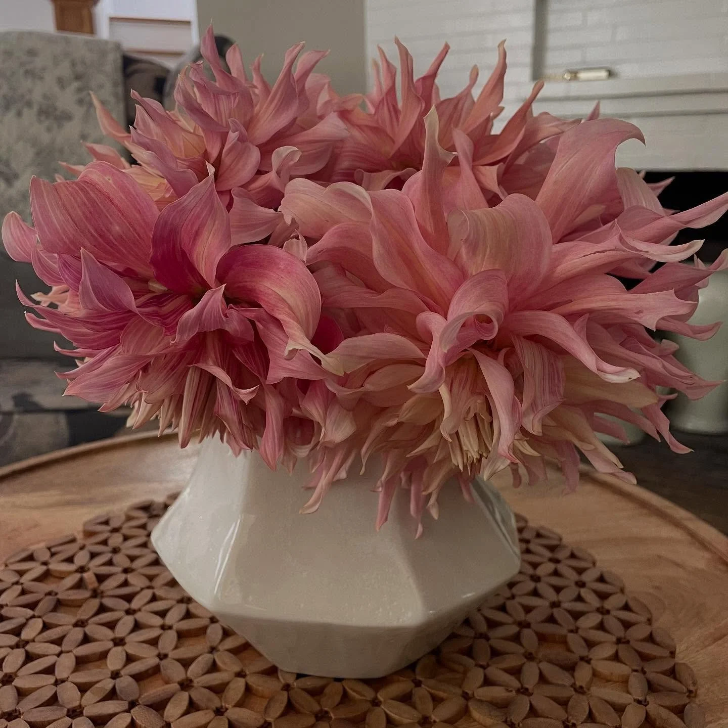 Cleansing your feed with flowers!