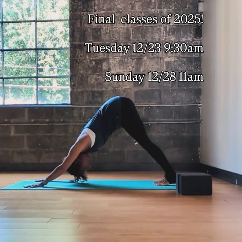 Come practice with me before the year ends. Three classes before year end including a rare Sunday! Classes are in person or online. Signup at @yogamechanics or at the link in my bio.

Tuesday 12/23 9:30am
Sunday 12/28 11am
Tuesday 12/30 9:30am