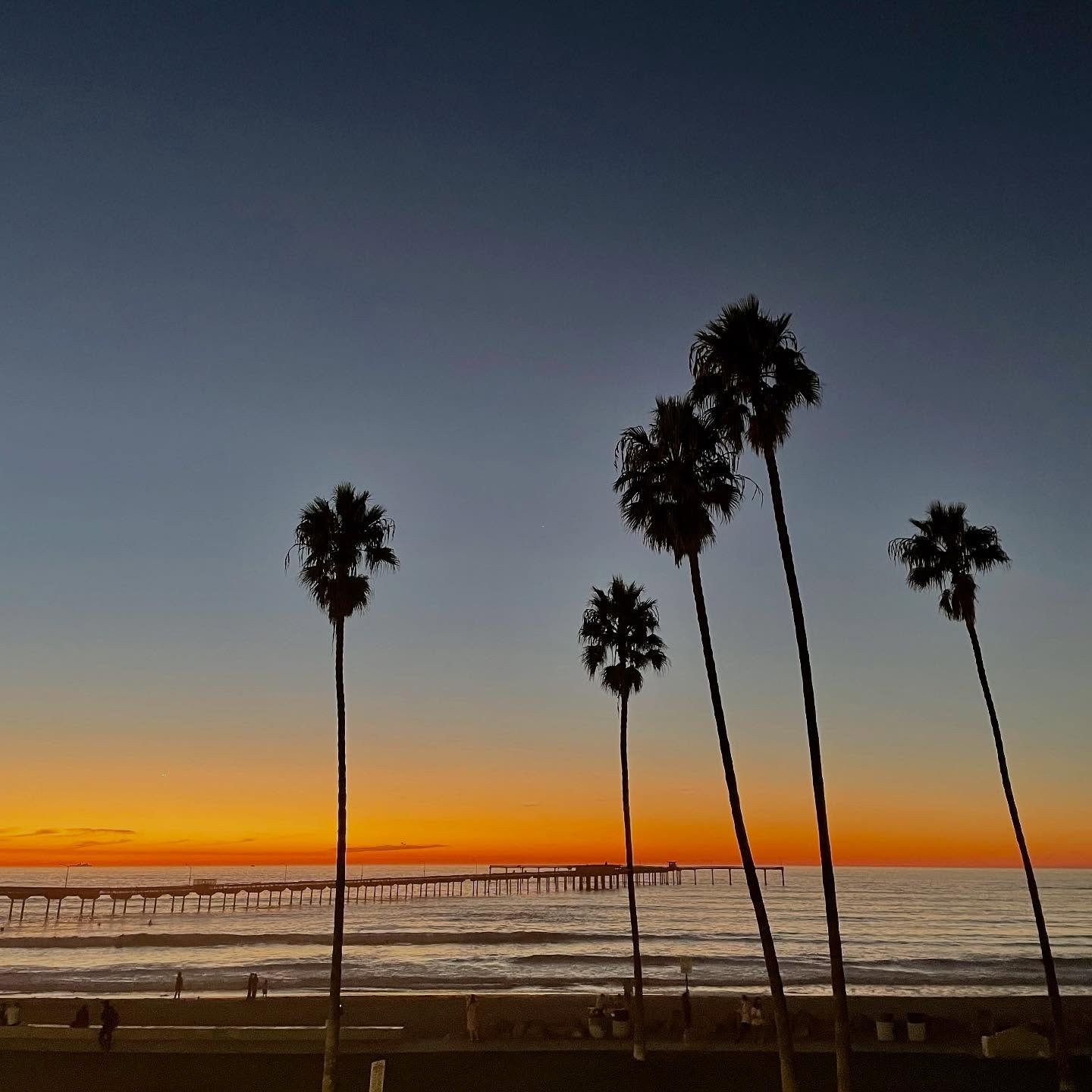 Beautiful sunny San Diego!