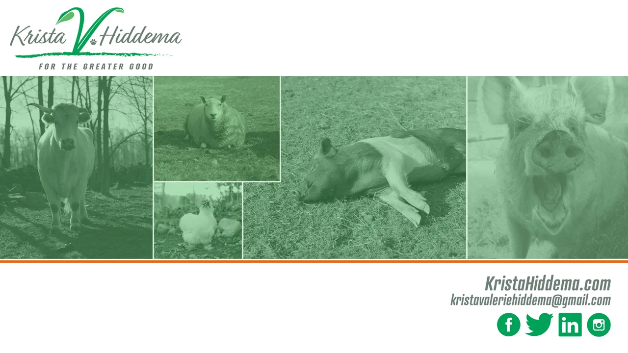 How The Love For One Pig Changed The World