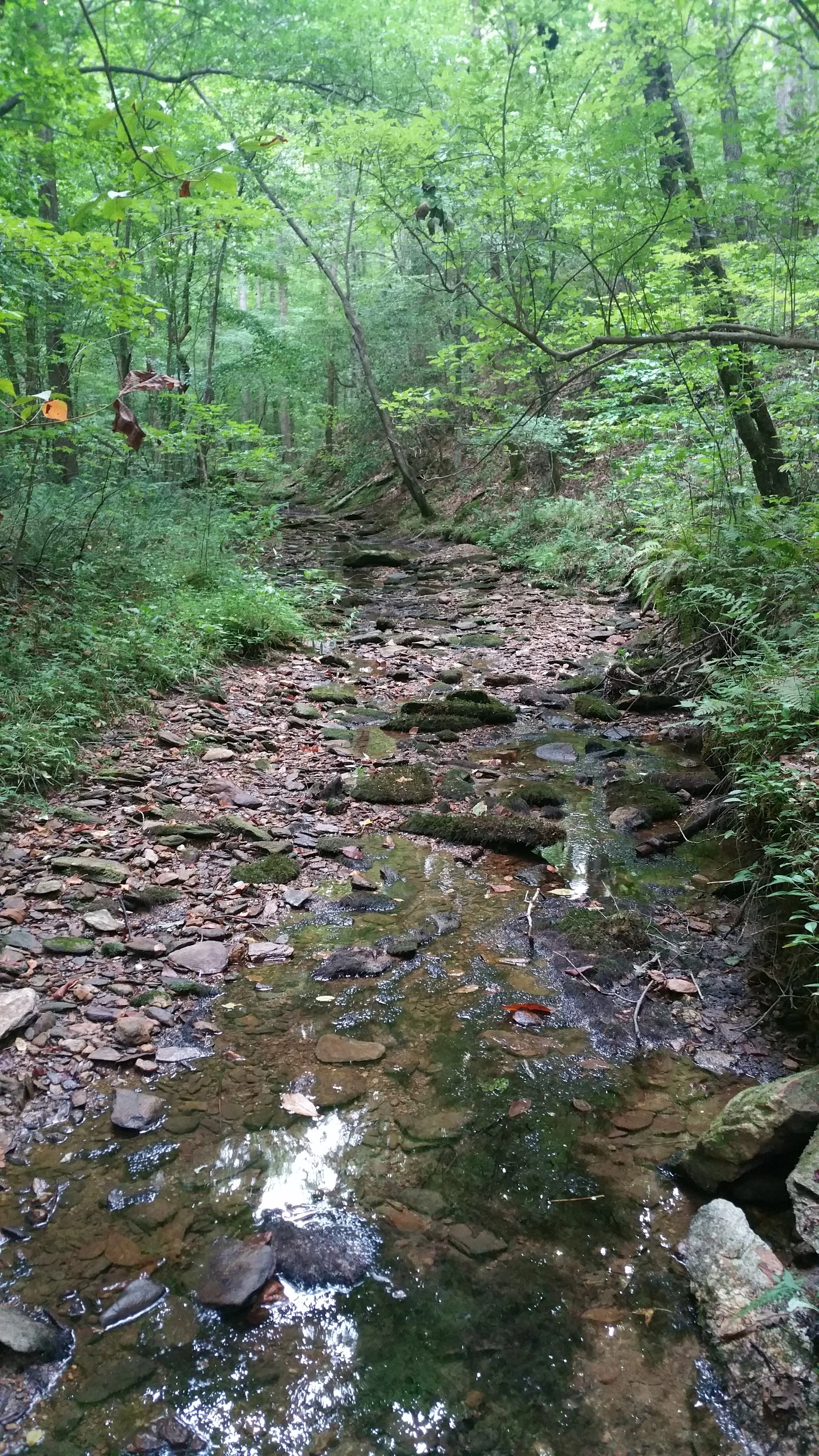 20160813_104055.jpg