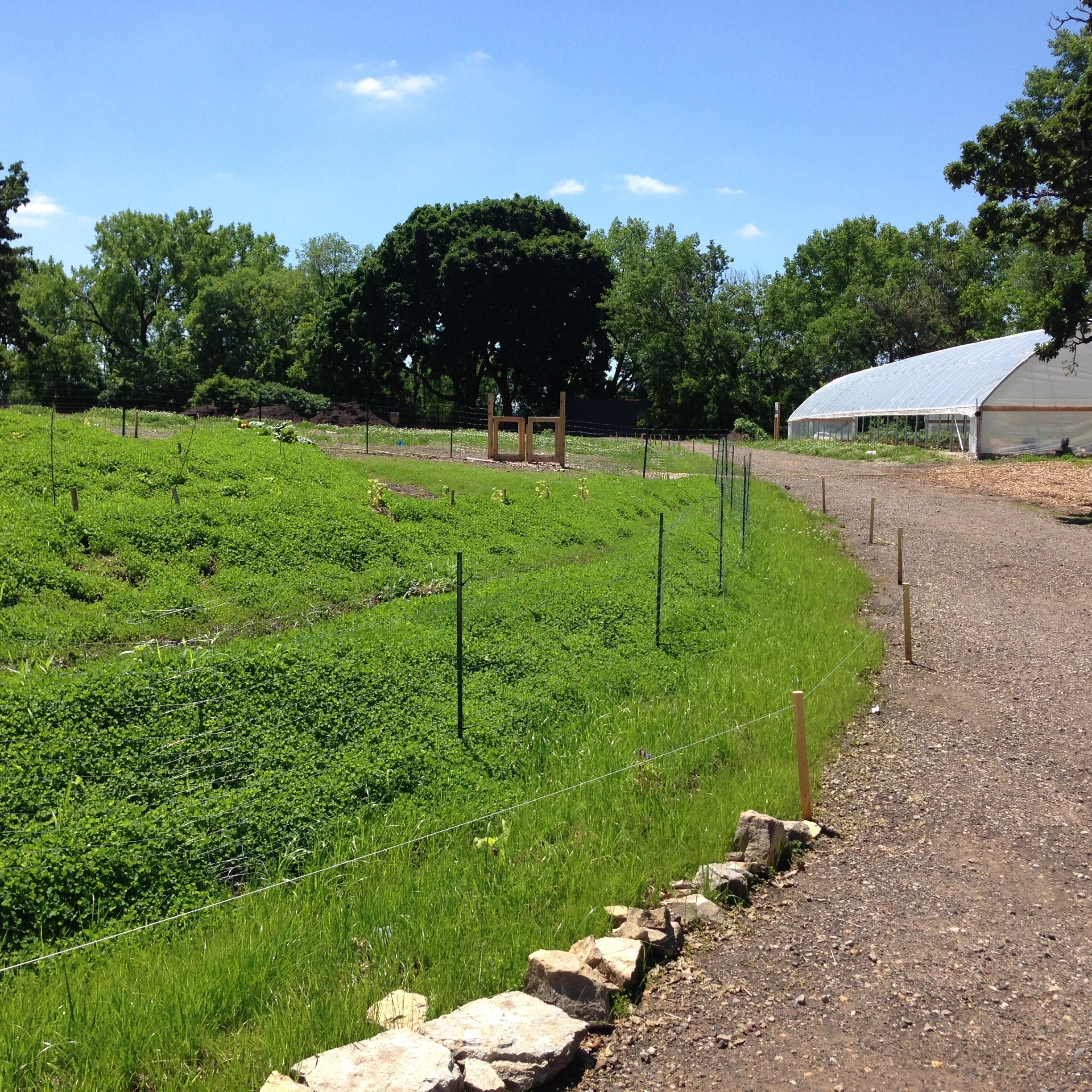 Frogtown Farm
