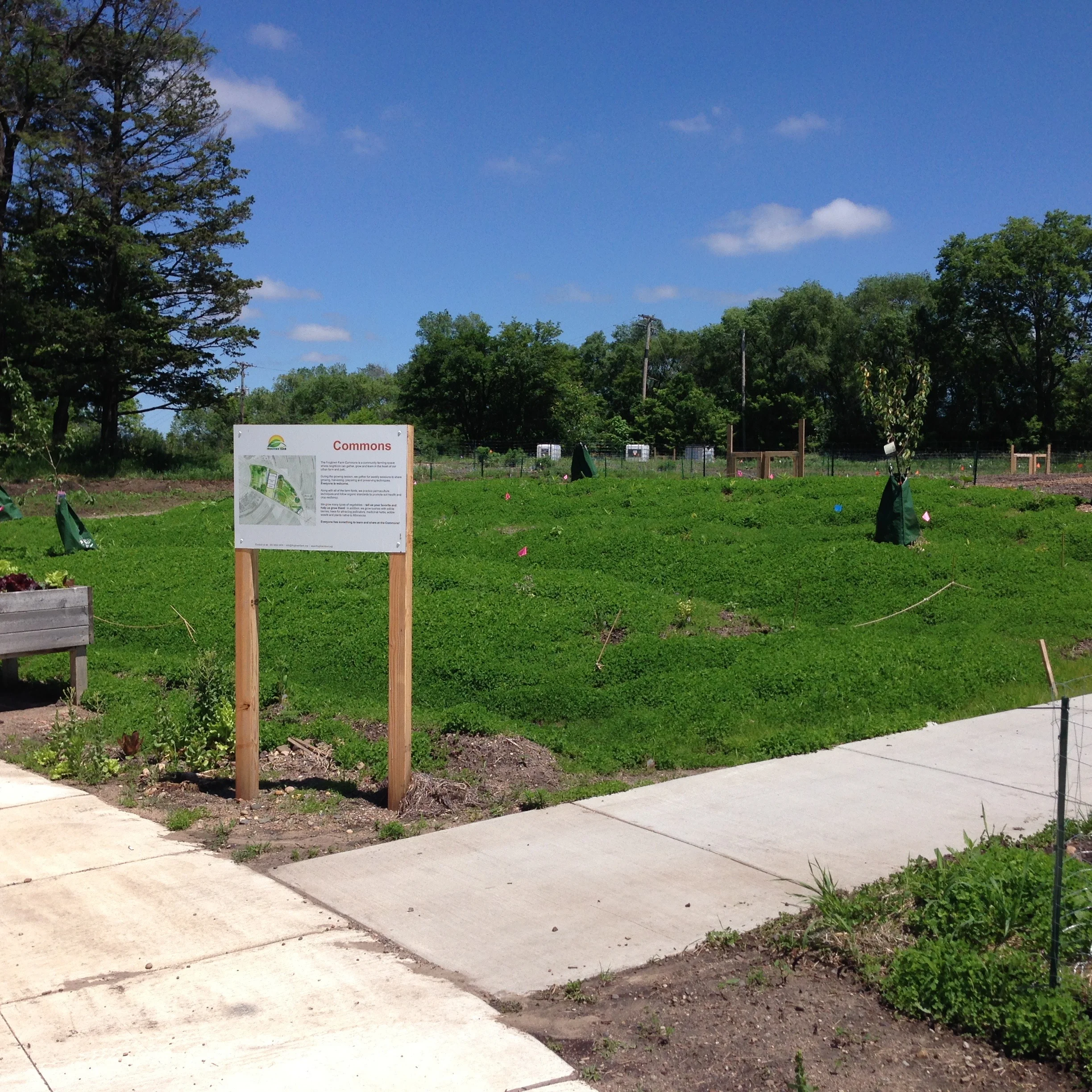 FrogTown Farm