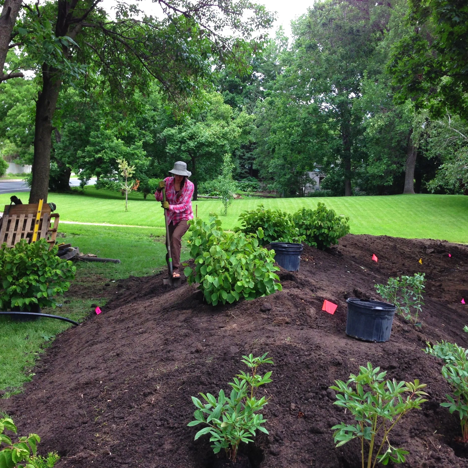 Berm Planting