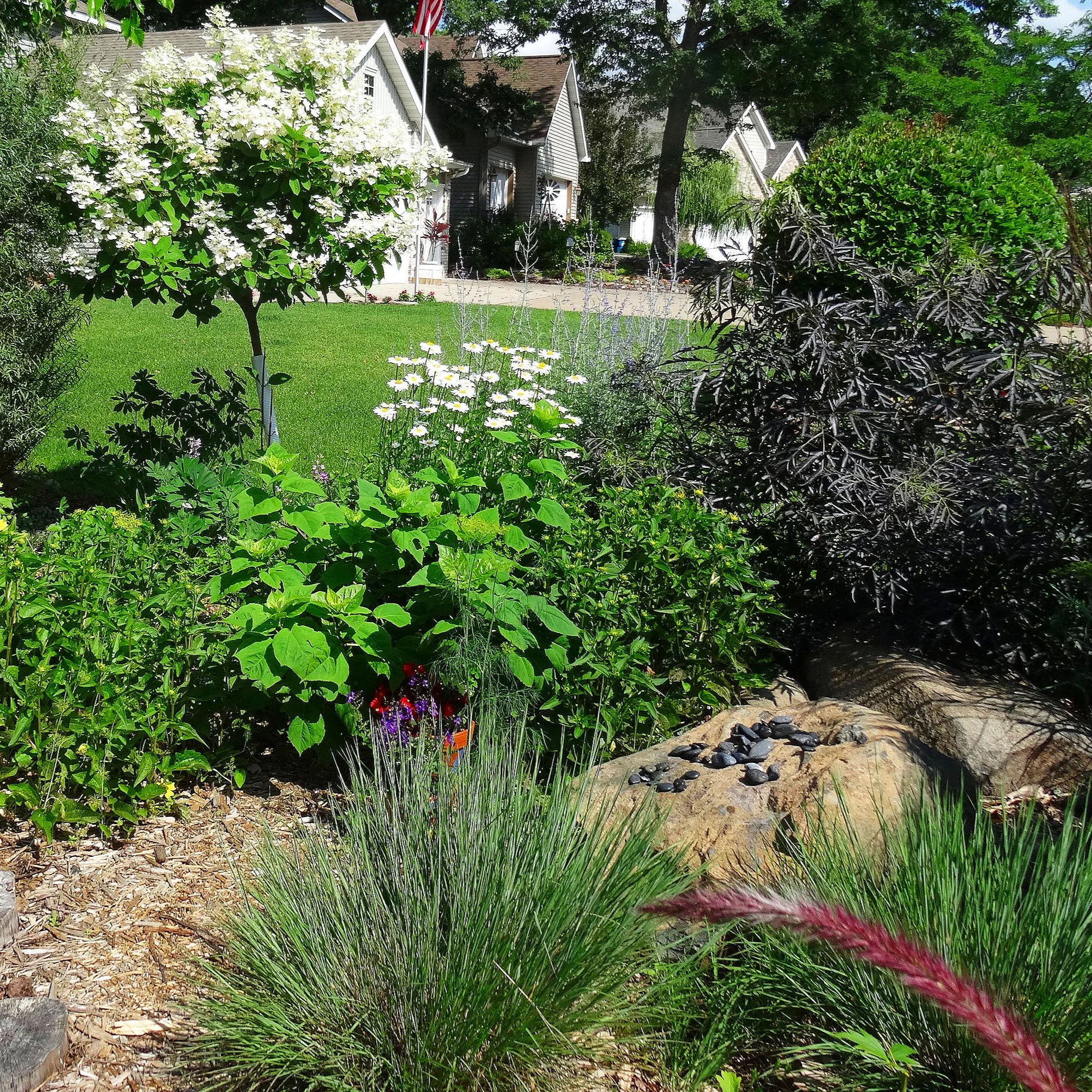 Urban & Suburban Abundance