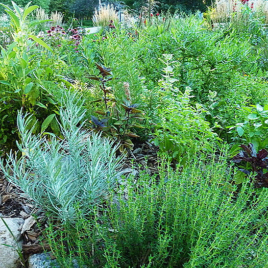 Polyculture Planting