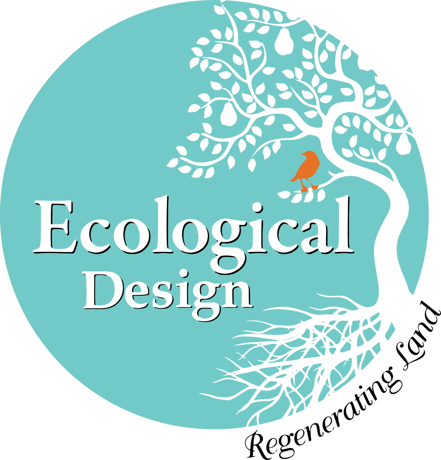 Ecological Design