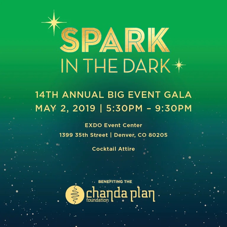 Spark in the Dark - Chanda Plan 14th Annual Big Event Gala