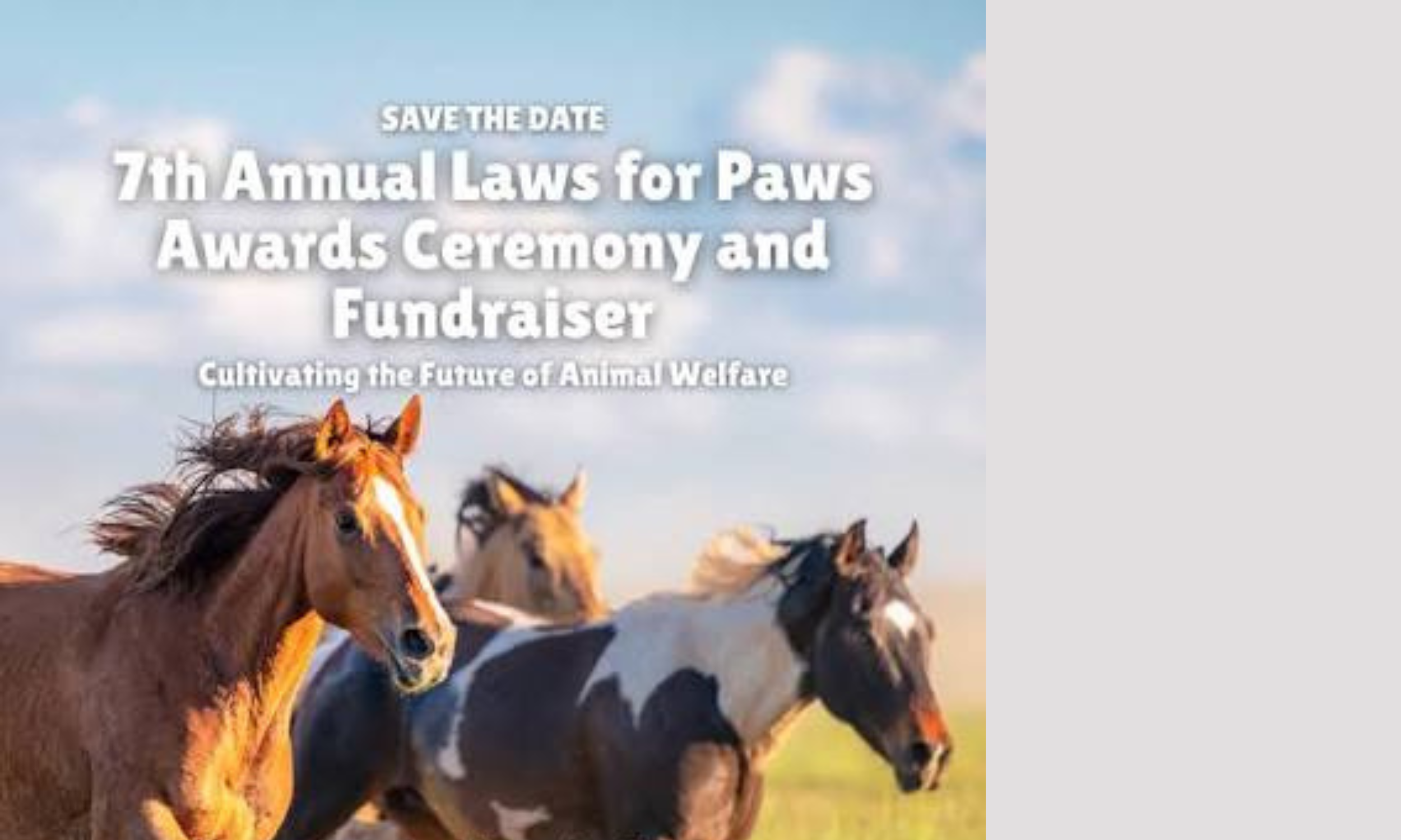 Laws for Paws