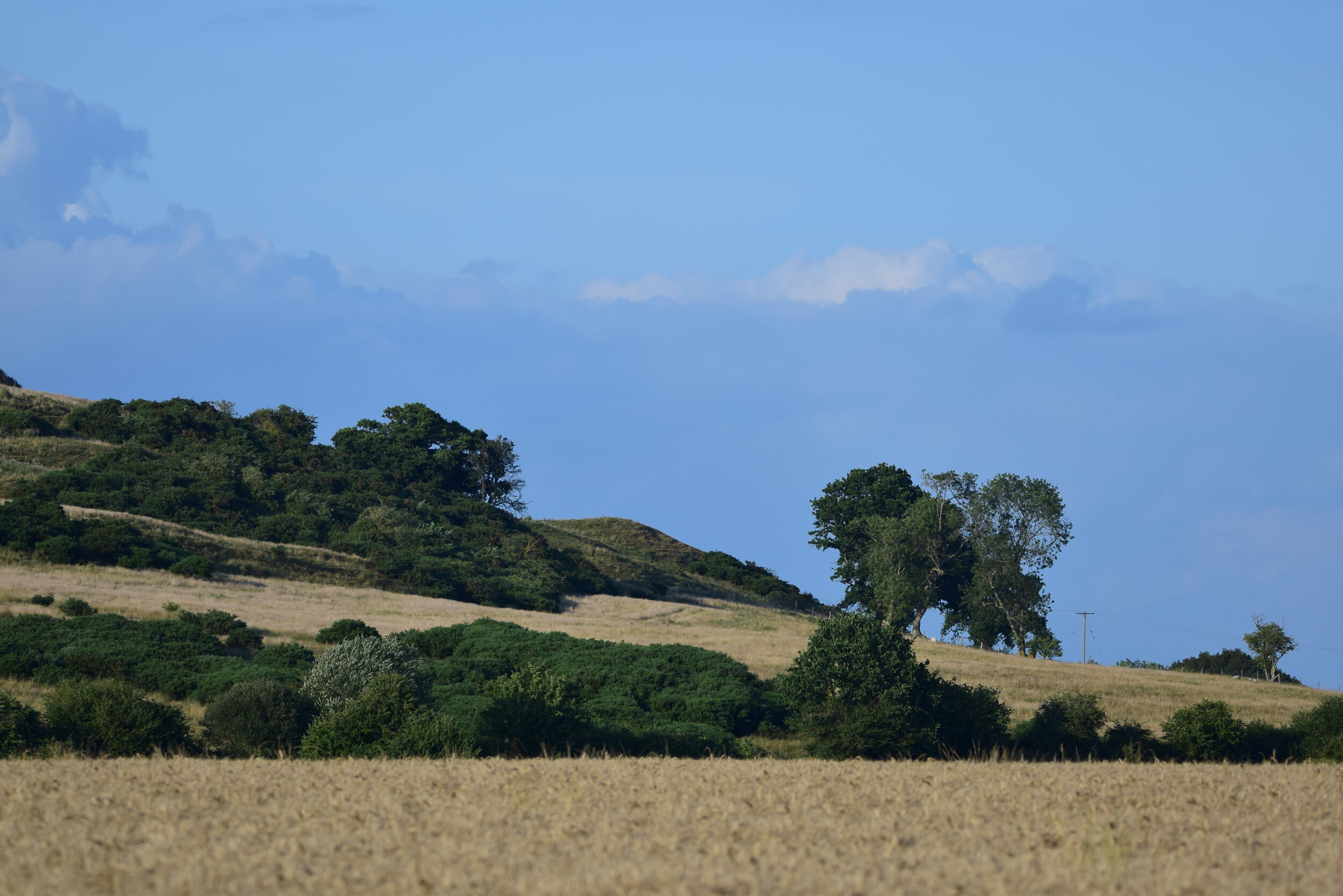 Rolling hills of the cliff by Dave.JPG