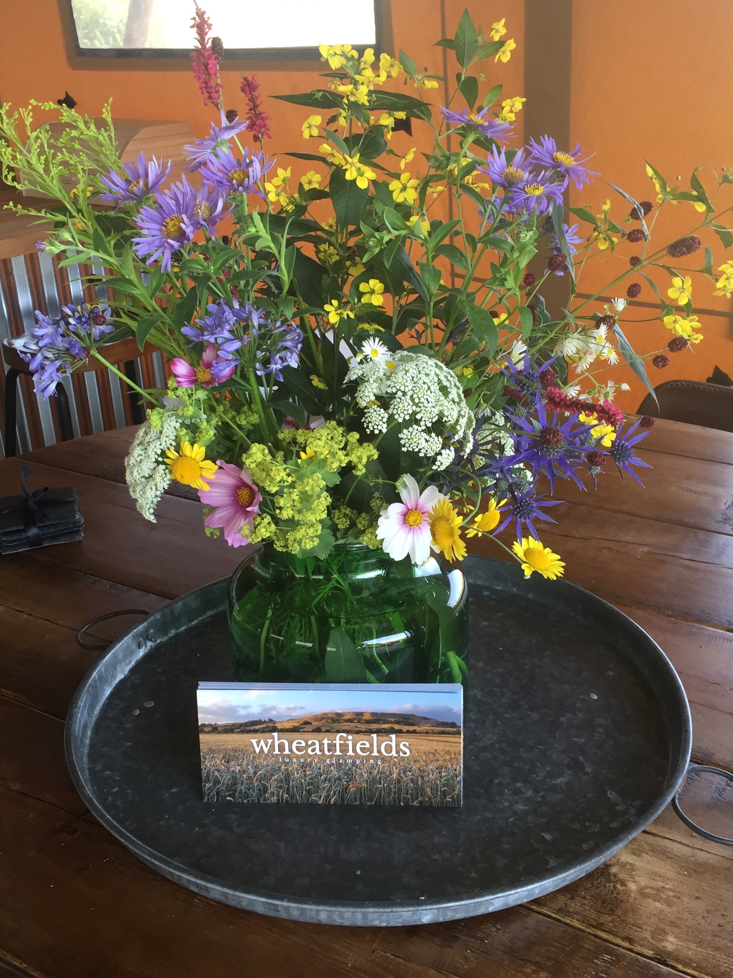 Mum's flowers in Skylark.JPG